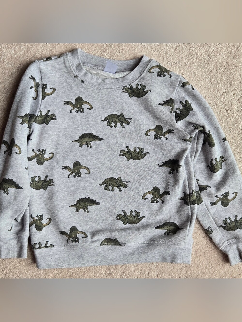 Carter's Light Gray Sweatshirt with Olive Dinosaur Print